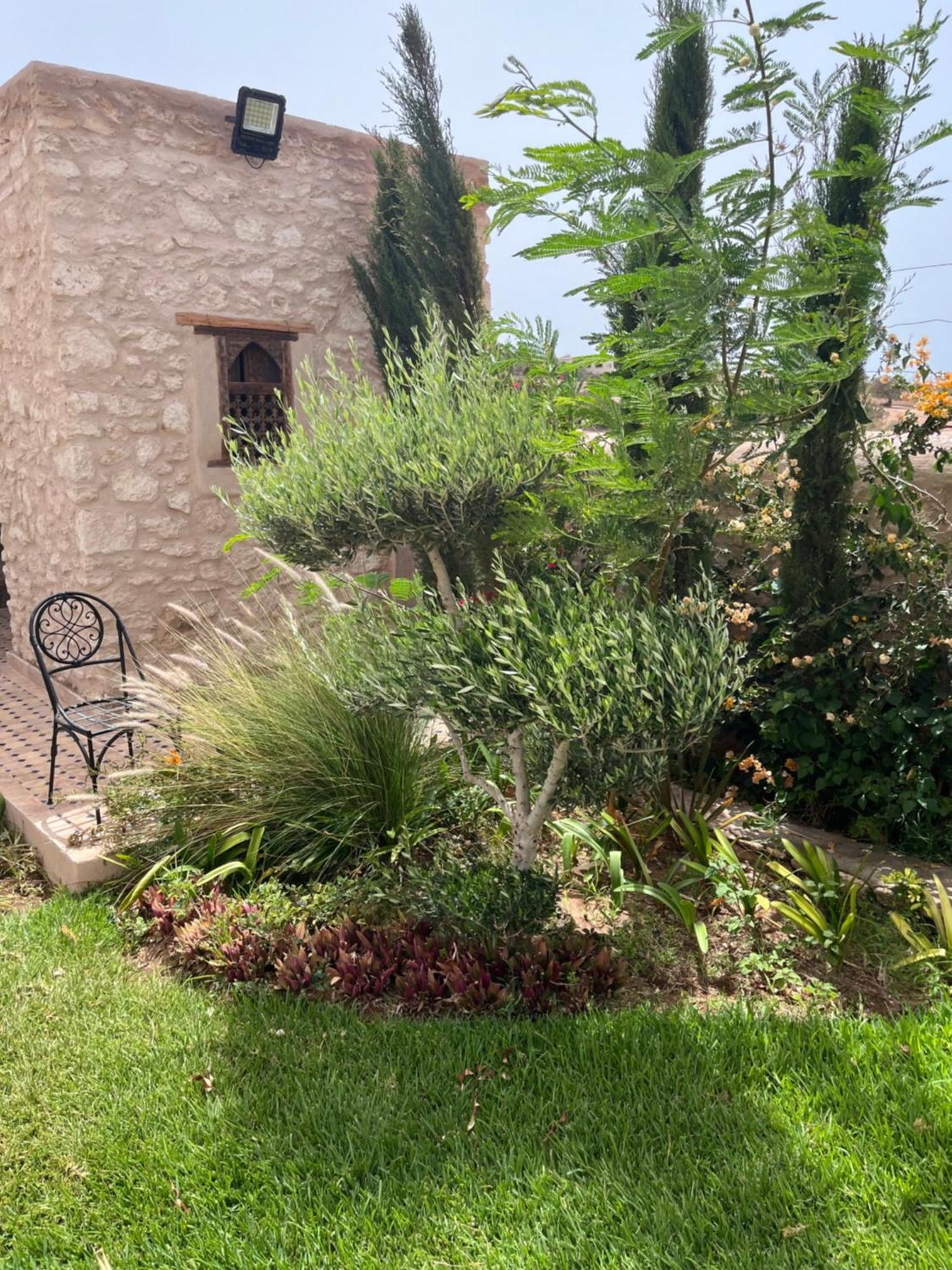 Guest house Tammam