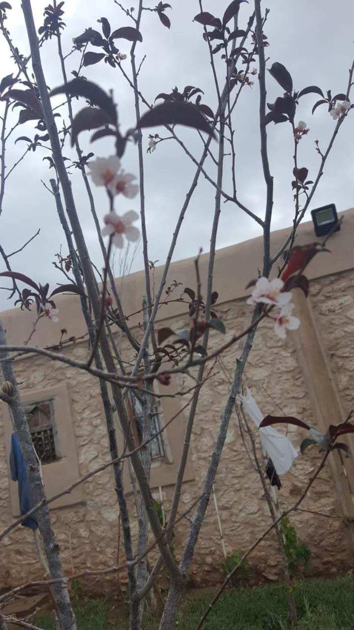 Tammam 3* Essaouira